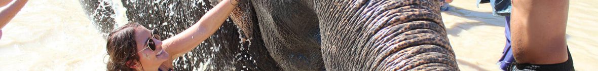 Phuket Muslim Halal Tour Packages