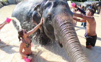 Phuket Elephant Sanctuary Park