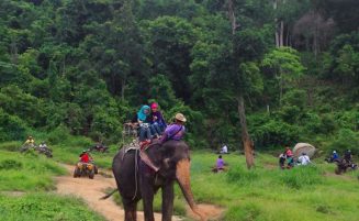 Phuket elephant riding option 1