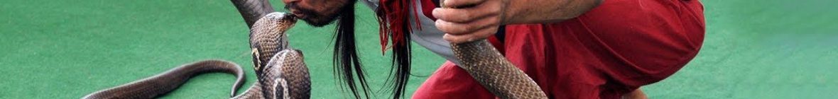 Phuket Muslim Halal Tour Packages