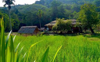 Phuket elephant trekking option 2